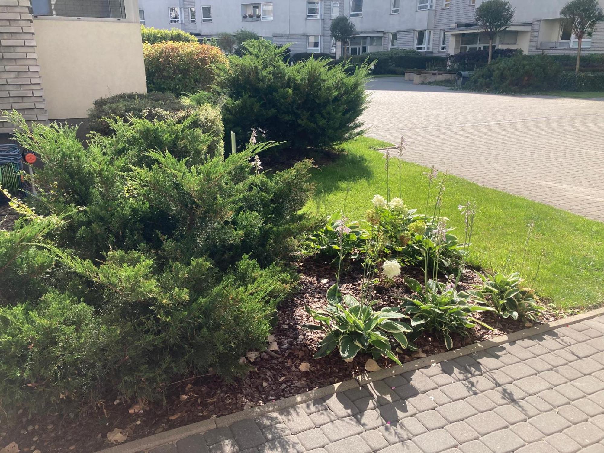 Przestronny Apartament Na Dolnej Varsovia Exterior foto